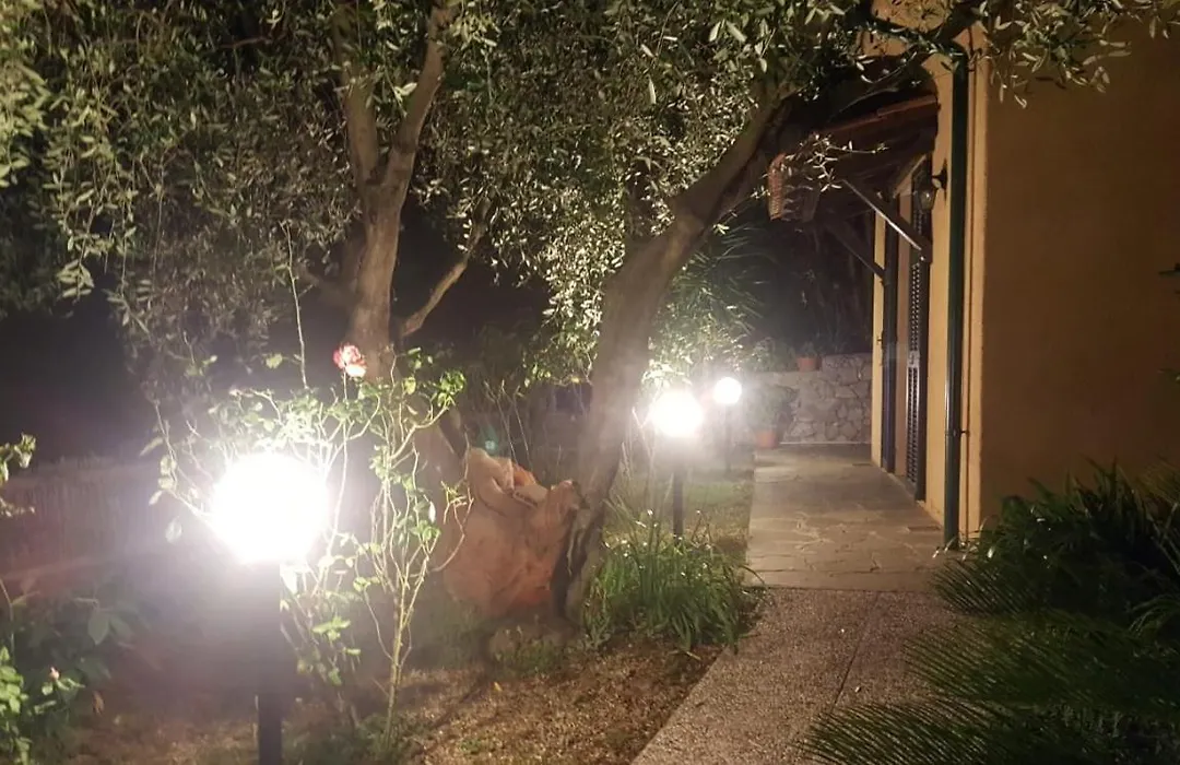 L'Uliveto D'Argento-1